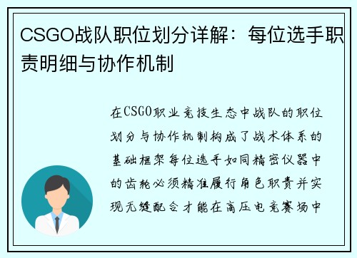 CSGO战队职位划分详解：每位选手职责明细与协作机制