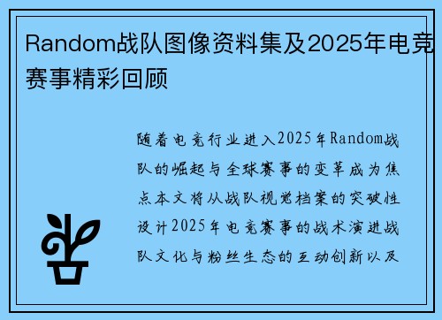 Random战队图像资料集及2025年电竞赛事精彩回顾